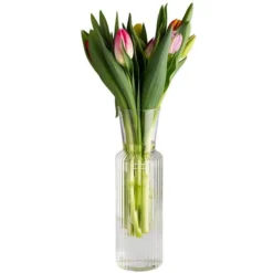 APS Glaskaraffe -LINES- Ø 8 Cm, H: 27 Cm, 0,9 Liter 12 APS Glaskaraffe -LINES- Ø 8 Cm, H: 27 Cm, 0,9 Liter -Ritzenhoff & Breker Shop 410b5f29 9320 4050 9c14 65430f69c73d