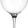 Villeroy & Boch Maxima Burgunderkelch 22,5cm 790ml